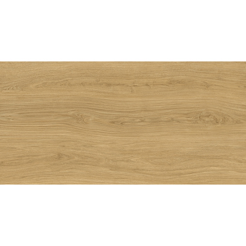 Дориан Керамогранит янтарный LP6012G0821R8 59,5х119,1 матовый+гл.чернила